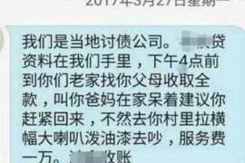 盐源如何避免债务纠纷？专业追讨公司教您应对之策